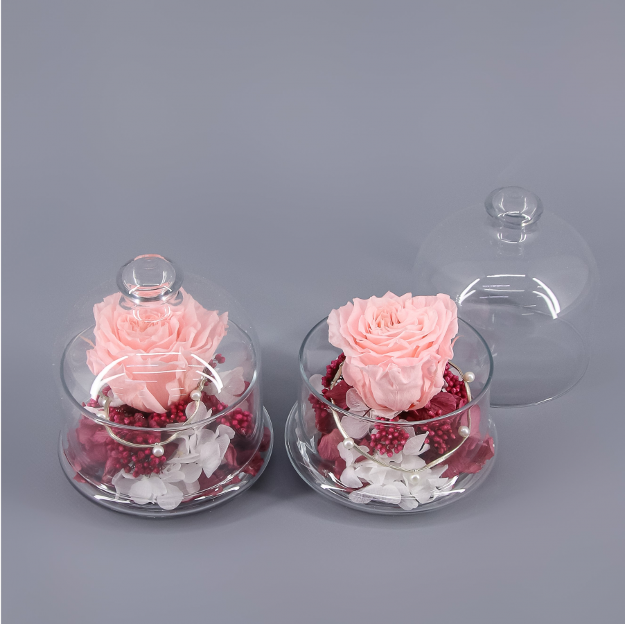 Cúpula Mini con Rosa Preservada Rosa – Floristería la Fulla